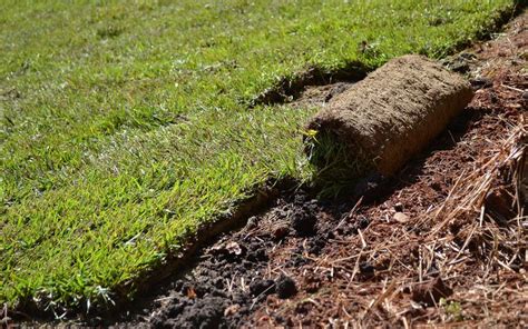 Up Your Curb Appeal In Weeks Laying Your Own Sod Why Curb Appeal