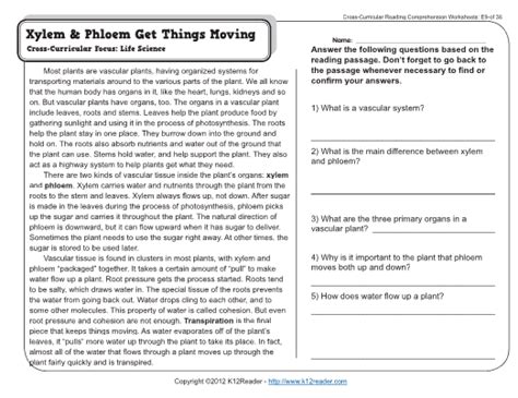 9th Grade Reading Comprehension Worksheets With Answers