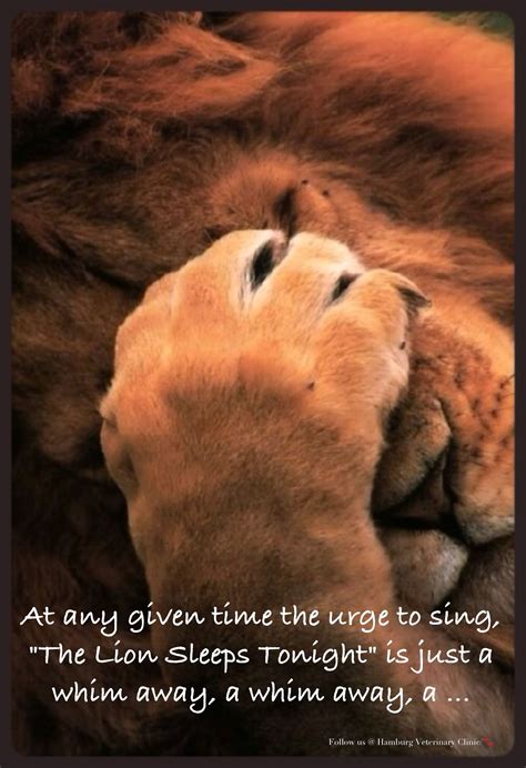 Good Night Funny Sweet Dreams Animal Humor Cute Lion Sing Away