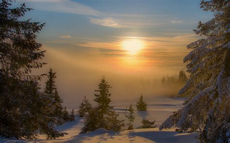 2880206 Nature Landscape Mountains Snow Lake Sunset Mist Cold Moose