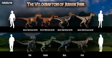 Theredraptor On Twitter The Velociraptors Of The Jurassicpark Franchise From The Wild Tiger