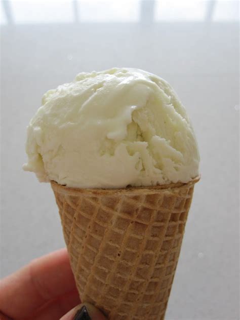 Have you ever made almond milk? Vanilla Almond Milk Ice Cream Recipe | How to Make Vanilla Ice Cream