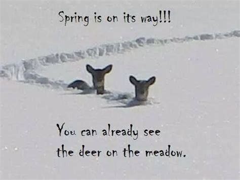 Meanwhile In Canada Spring Is On Its Way You Can Already See The