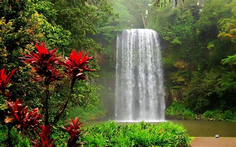 tropical-waterfall