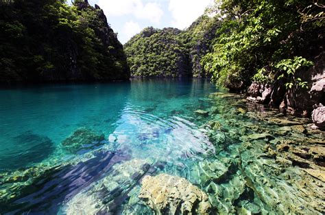 Amazing Nature And Beauty Of Philippines Islands Palawan Stock Image