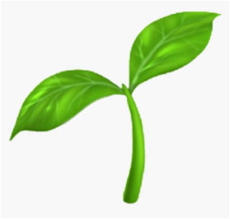 Iphone Plant Emoji Hd Png Download Transparent Png Image Pngitem