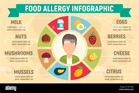 Food Allergy Infographic Flat Illustration Of Food Allergy Vector