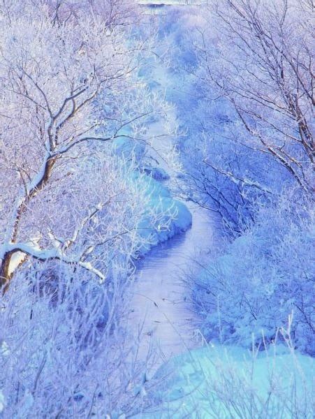 Frozen Nature ~ Stunning Nature