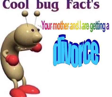 Cool Bug Facts Rshitposting