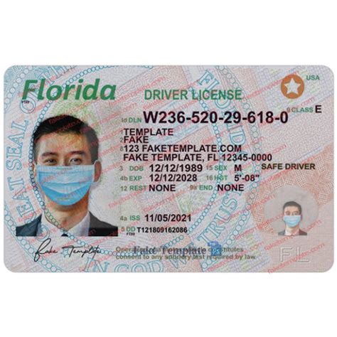 Florida Driver License Psd New Blank Florida Drivers License Template