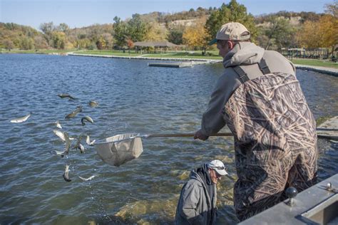 Trout Stocking At Big Lake Today Local News