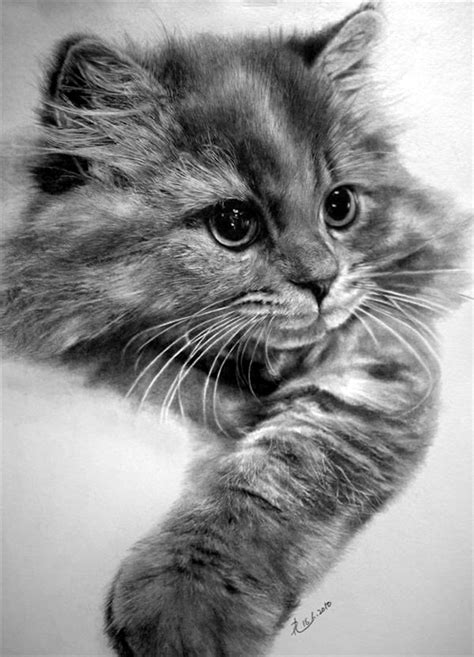 Cute And Easy Sketches 40 Cute Easy Animal Drawings Ideas