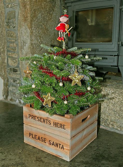 Personalised Christmas Tree Planter Crate By Plantabox