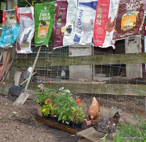 What To Feed Chickens Does Brand Matter Backyard Poultry Magazine
