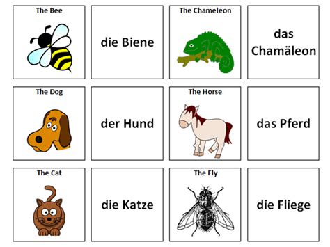Animals German Vocabulary Card Sort Teaching Resources