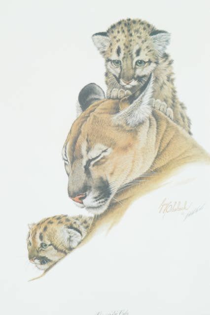 guy coheleach cougars and cubs lithograph print ebth
