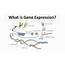 What Is Gene Expression  Microbiology Notes