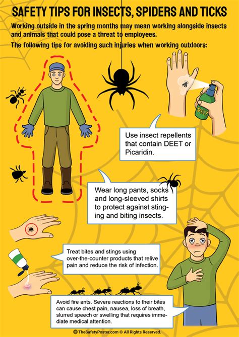 Safety Tips For Insects Spiders And Ticks Insects Bite Spider