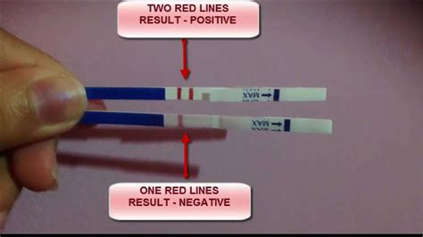 Hoping for a positive pregnancy test? Positive Pregnancy Test » Test Tube Baby Clinic Nashik