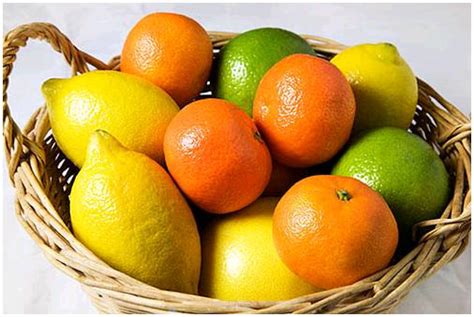 Citrus Fruits: Questions & Ideas