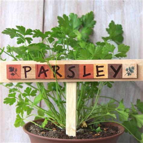 23 Gorgeous Easy To Make Plant Label And Marker For Garden