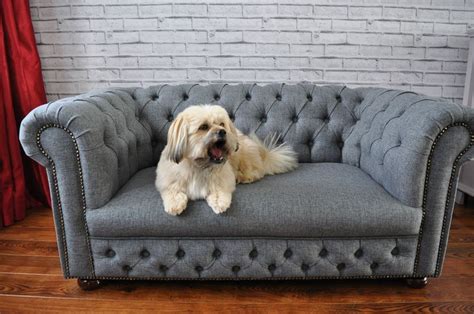 Fantastic Dog Sofa Bed In Chesterfield Style Dog Sofa Bed Dog Sofa