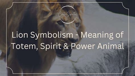 Lion Symbolism Meaning Of Totem Spirit And Power Animal