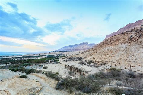 Landscape And The Judean Mountains By Reynold Mainse Design Pics