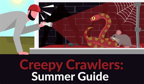 The Ultimate Guide For Dealing With Summer Pests Infographic
