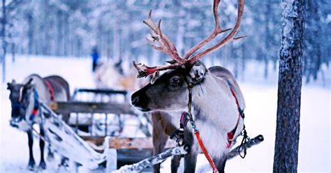 finland winter tours authentic scandinavia