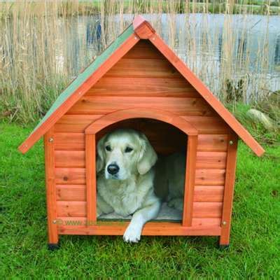 Un cachorro da mucho trabajo, pero muchísimos momentos mágicos. Cómo hacer una caseta de perro - AnimalesMascotas