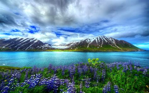 Aesthetic flower wallpapers for free download. Nature Beautiful Hd Wallpaper Mountain Lake Flowers Sky ...
