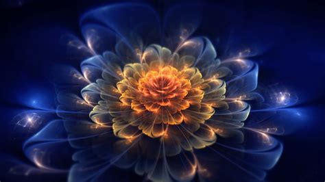 Resumen Fractal Brillante Flores Fractales Fondo De Pantalla Hd