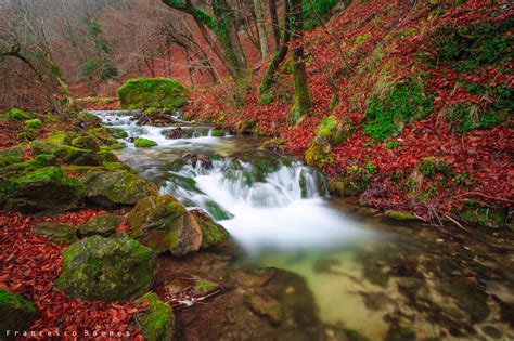 Wallpaper Landscape Leaves Waterfall Italy Rock Red Reflection