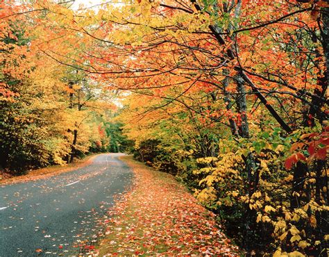 Best Maine Fall Foliage