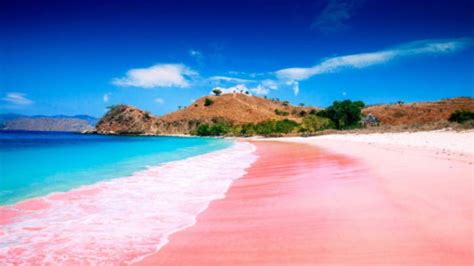 Destinasi Pantai Dengan Pasir Pink Di Seluruh Dunia Portal Wanita Muda