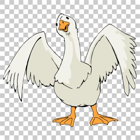 Duck Goose Swan Bird PNG Image With Transparent Background Png Images