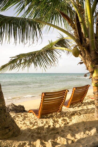 Premium Photo Chairs Between Two Palm Trees On The Shore Of The Beach