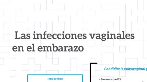 Las Infecciones Vaginales En El Embarazo By Mucho Trigo