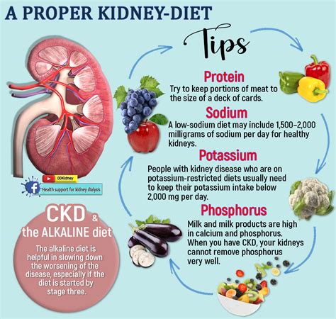 Healthy Diet For Kidney Disease Best Culinary And Food