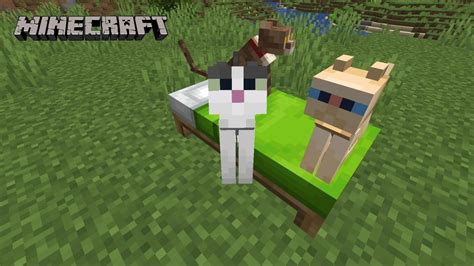 How To Get Different Cat Breeds In Minecraft