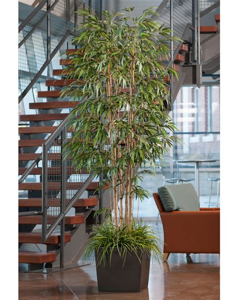 We have all the tips for trimming your tree. 8' Deluxe Artificial Bamboo Tree at Petals