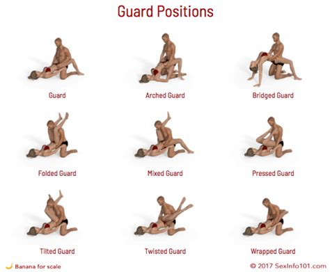 Guard Positions Sazuka101