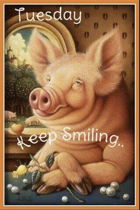 Pin By Caryn Jarc On Seven Days A Week Pig Illustration