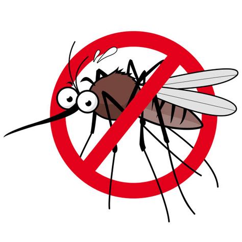 Best Mosquito Repellant Spray Illustrations Royalty Free Vector