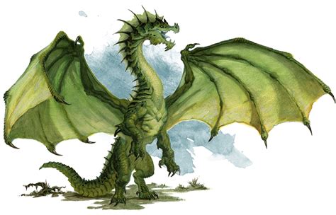 Young Green Dragon Monsters Dandd Beyond