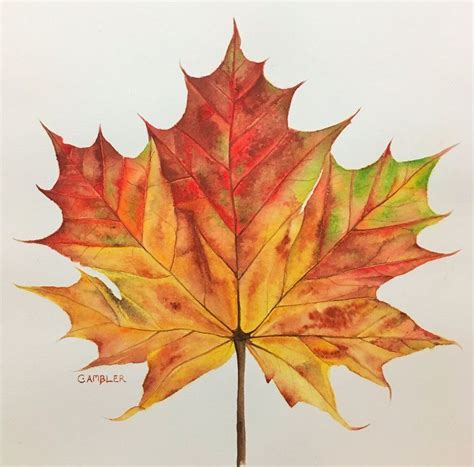Autumn Leaf 2018 Watercolour By Charlotte Ambler Hojas Pintadas
