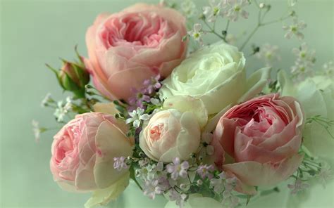 Descargar Fondos De Pantalla Rosas De Color Rosa Hermosas Flores Ramo