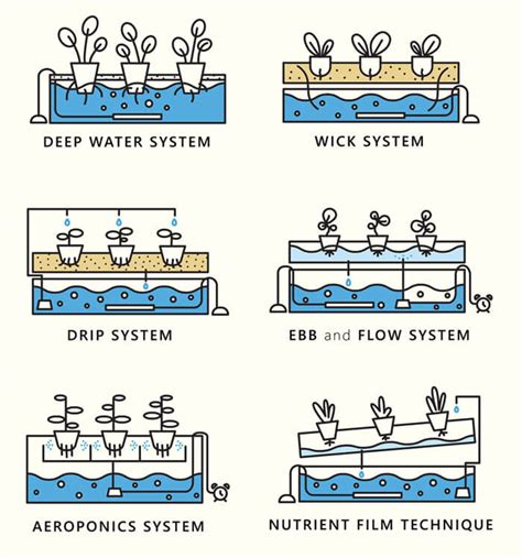 Types Of Hydroponic System Design Producton And Sale Hc Hydroponics