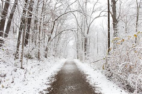 A Winter Wonderland Awaits When You Explore Your Own Backyard In